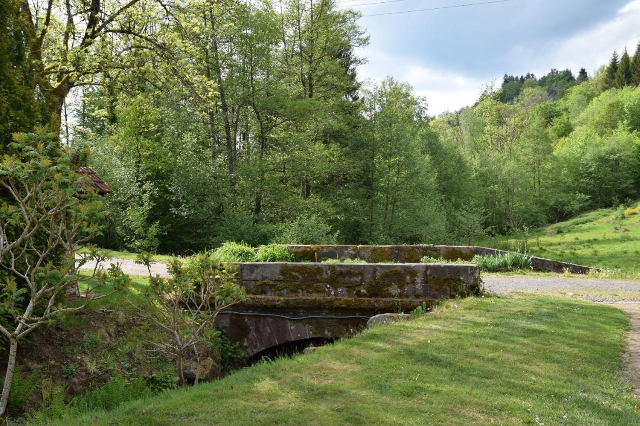 Vacance Conviviales Dans Les Vosges 8 Gites Ban-de-Sapt Zewnętrze zdjęcie