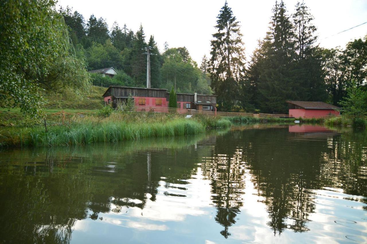 Vacance Conviviales Dans Les Vosges 8 Gites Ban-de-Sapt Zewnętrze zdjęcie