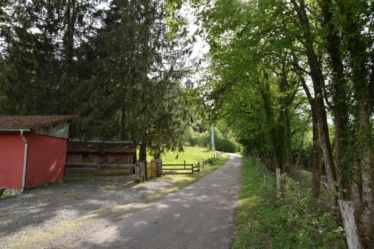 Vacance Conviviales Dans Les Vosges 8 Gites Ban-de-Sapt Zewnętrze zdjęcie